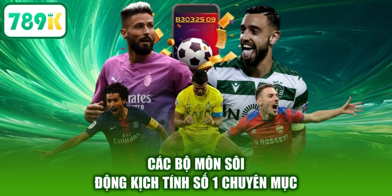 Các bộ môn sôi động kịch tính số 1 chuyên mục