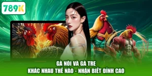 Gà Nòi Và Gà Tre Khác Nhau Thế Nào - Nhận Biết Đỉnh Cao