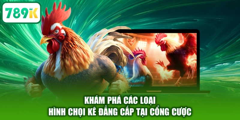Khám phá các loại hình chọi kê đẳng cấp tại cổng cược
